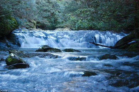 Lemonthyme Wilderness Retreat - Accommodation Noosa 10