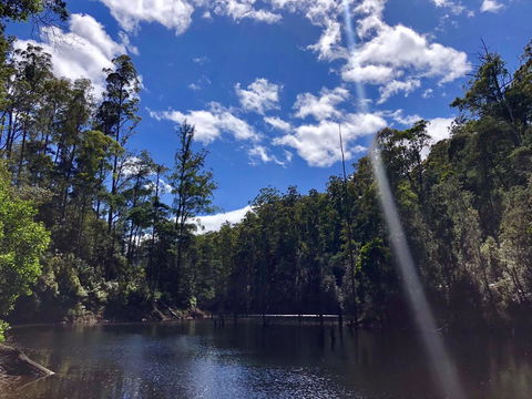 Lemonthyme Wilderness Retreat - Accommodation Noosa 7