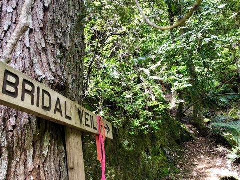 Lemonthyme Wilderness Retreat - Accommodation Noosa 18