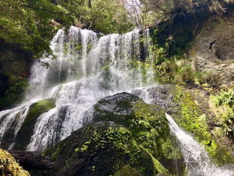 Lemonthyme Wilderness Retreat - Accommodation Noosa 14