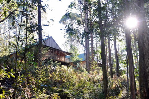 Lemonthyme Wilderness Retreat - Accommodation Noosa 25