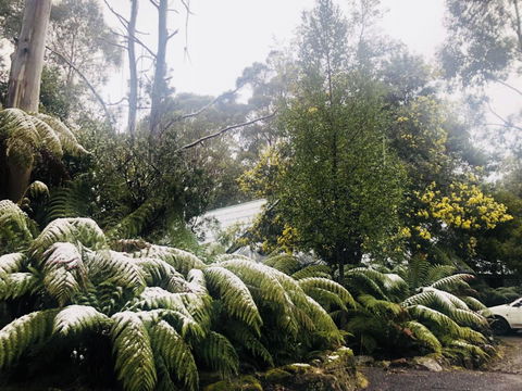 Lemonthyme Wilderness Retreat - Accommodation Noosa 16