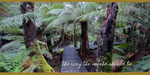 Lemonthyme Wilderness Retreat - Accommodation Noosa 17