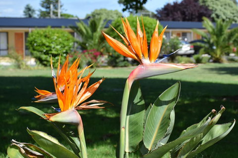 Beachway Motel - Accommodation Noosa 21