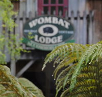 The Wombat Lodge - Accommodation Noosa