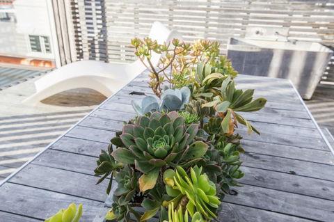 Avalon City Retreat - Accommodation Noosa 5