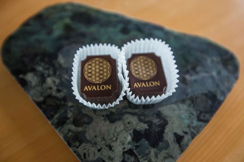 Avalon City Retreat - Accommodation Noosa 22