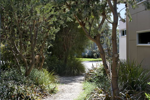 BIG4 Ingenia Holidays Queenscliff Beacon - Accommodation Noosa 13