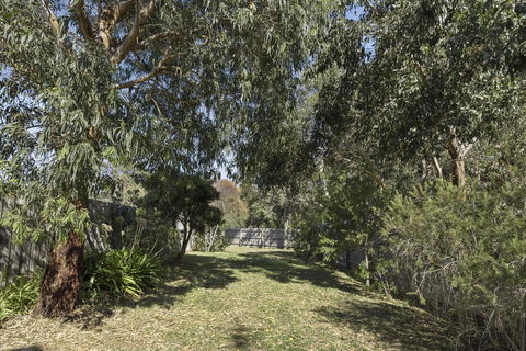 Apollo Bay Cottages - Accommodation Noosa 14
