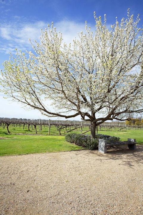 Lancemore Milawa - Accommodation Noosa 12