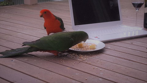 Wilsons Promontory Motel - Accommodation Noosa 12