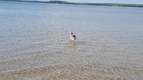 Wilsons Promontory Motel - Accommodation Noosa 35