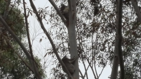 Wilsons Promontory Motel - Accommodation Noosa 28