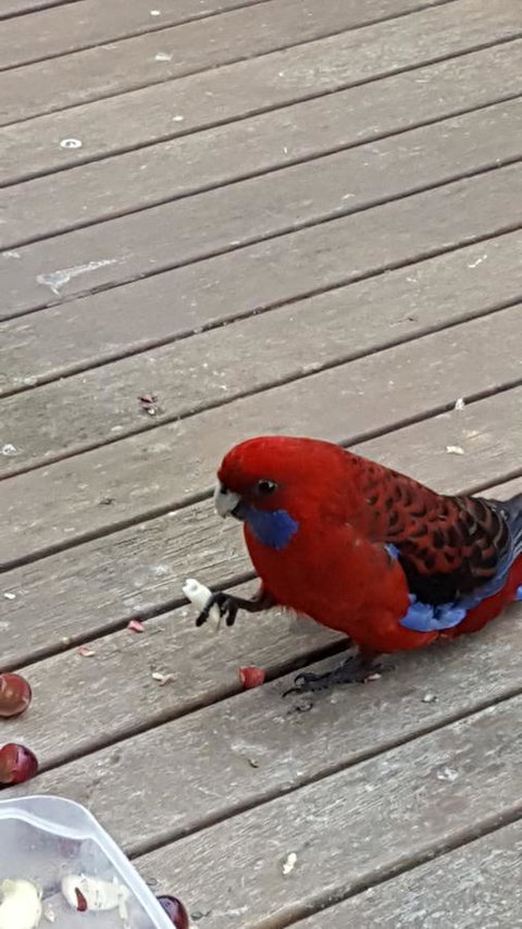 Wilsons Promontory Motel - Accommodation Noosa 24