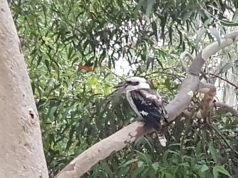 Wilsons Promontory Motel - Accommodation Noosa 26