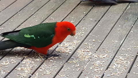 Wilsons Promontory Motel - Accommodation Noosa 27