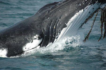 Wilsons Promontory Motel - Accommodation Noosa 42