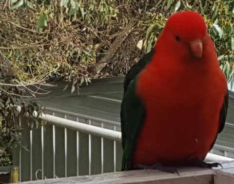 Wilsons Promontory Motel - Accommodation Noosa 23