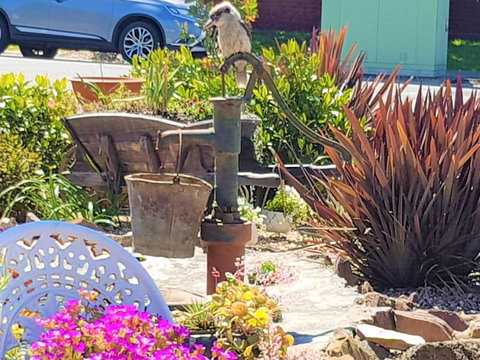 Wilsons Promontory Motel - Accommodation Noosa 8