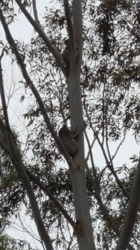 Wilsons Promontory Motel - Accommodation Noosa 29