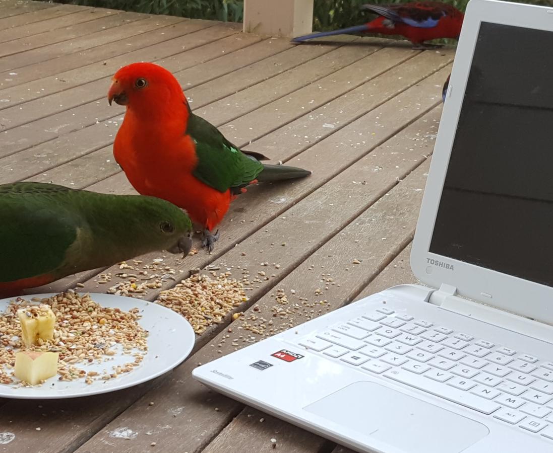  Accommodation Noosa