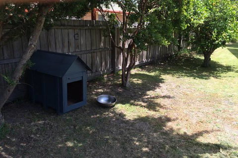 Jacaranda House - Accommodation Noosa 9