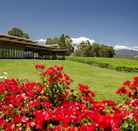 Balgownie Estate Vineyard Resort  Spa - Accommodation Noosa