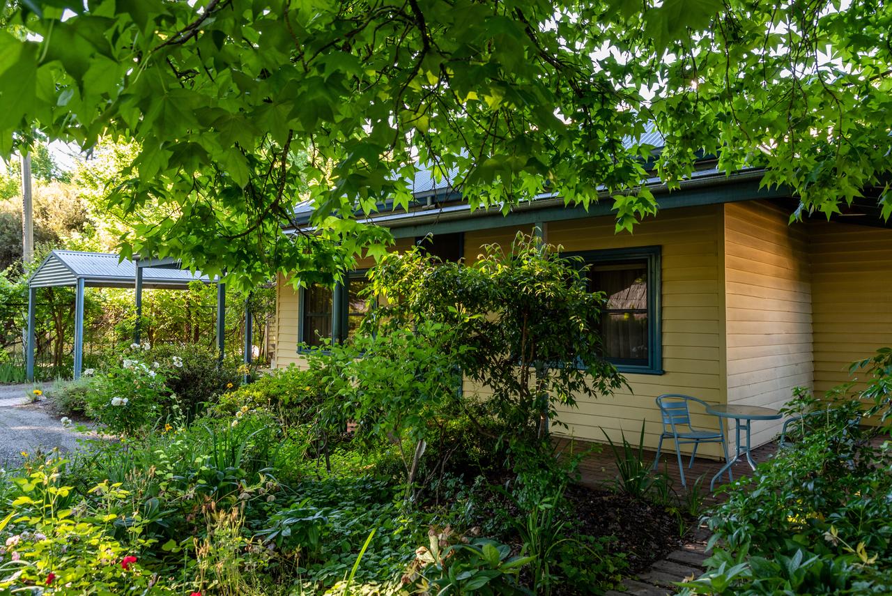 Violet Town VIC Accommodation Noosa