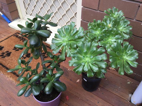 Doncaster Westfield Home Stay - Accommodation Noosa 23