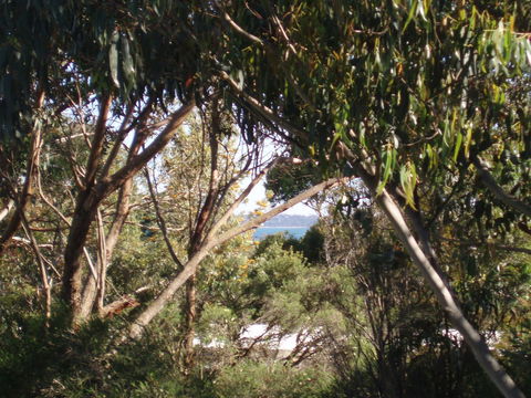Aloha Ha Phillip Island - Accommodation Noosa 24