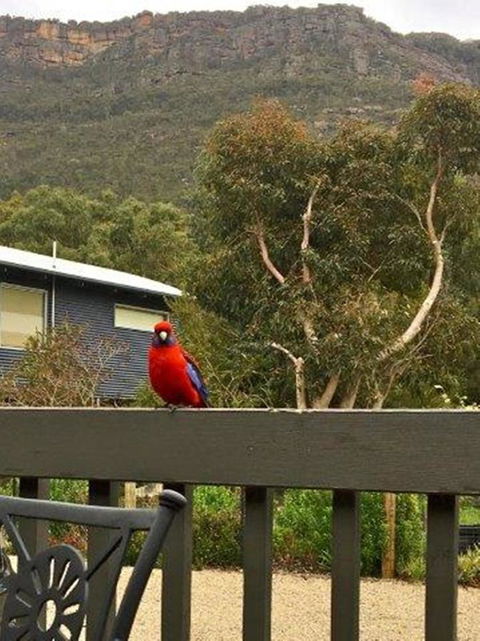 Kangurra Holiday House - Accommodation Noosa 15