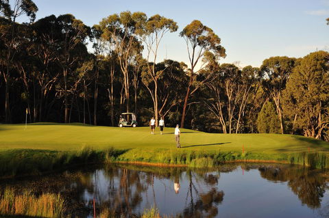 RACV Goldfields Resort - Accommodation Noosa 31