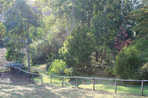 Strathmore Farm B&B - Accommodation Noosa 28