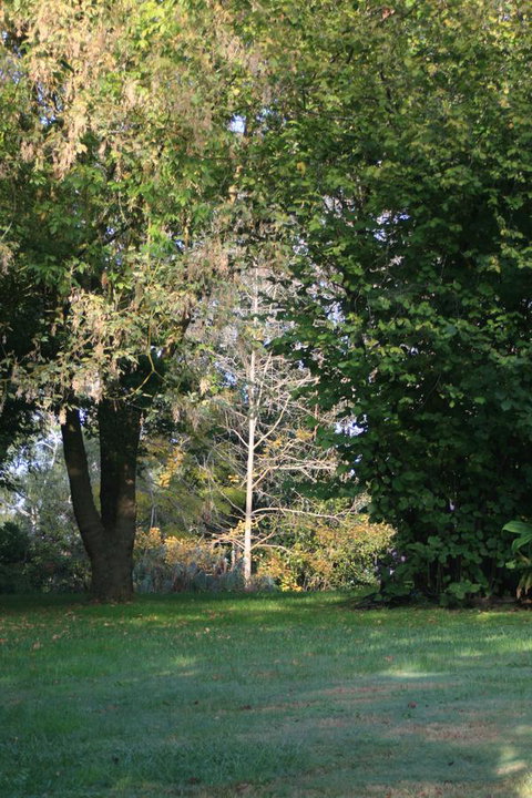 Strathmore Farm B&B - Accommodation Noosa 26