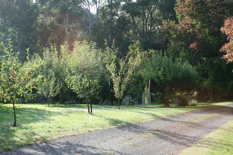 Strathmore Farm B&B - Accommodation Noosa 33