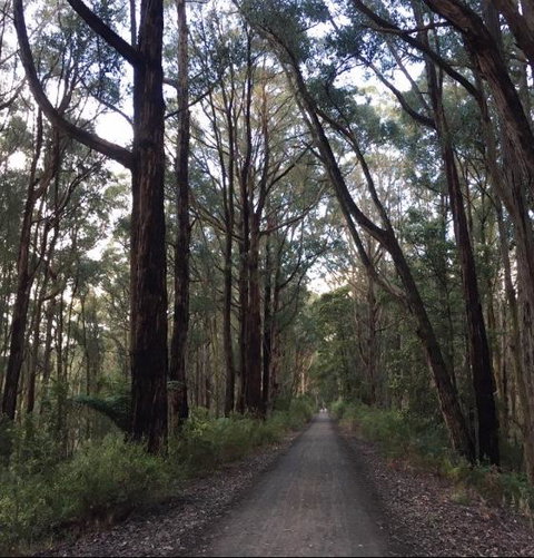 Strathmore Farm B&B - Accommodation Noosa 4