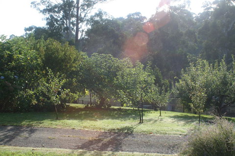 Strathmore Farm B&B - Accommodation Noosa 19