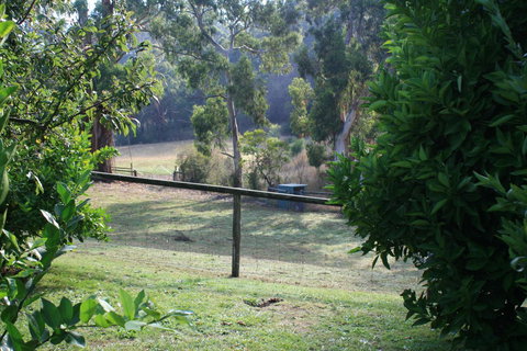 Strathmore Farm B&B - Accommodation Noosa 30