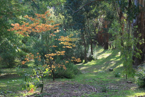 Strathmore Farm B&B - Accommodation Noosa 25