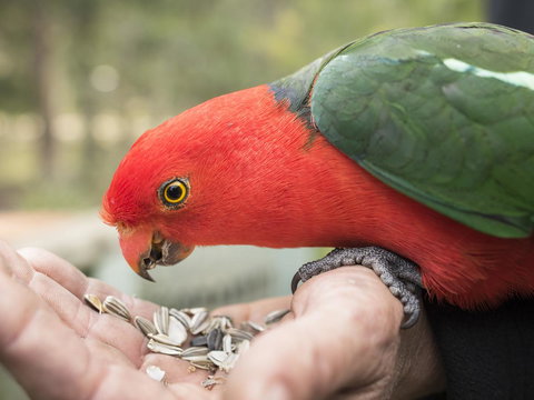 Gipsy Point Lodge & Cottages - Accommodation Noosa 17