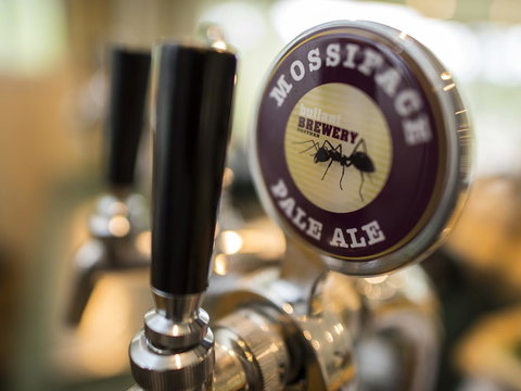 Gipsy Point Lodge & Cottages - Accommodation Noosa 16