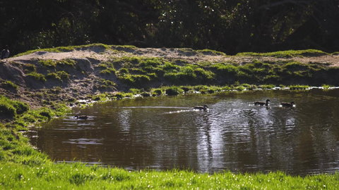 Limosa Rise - Accommodation Noosa 15