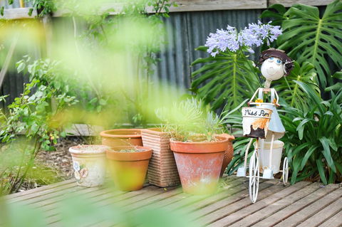 Miss Pym's Cottage - Accommodation Noosa 7