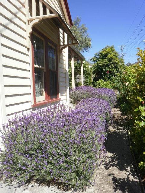 Miss Pym's Cottage - Accommodation Noosa 44