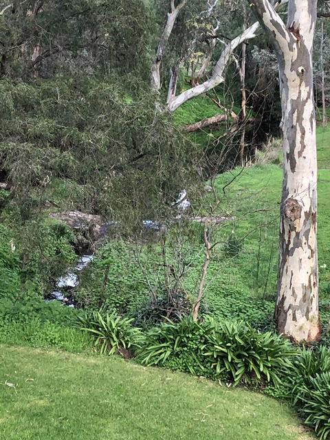 The Miners Cottage, Barossa - Accommodation Noosa 0