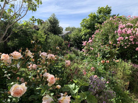 The Racecourse Inn - Accommodation Noosa 2