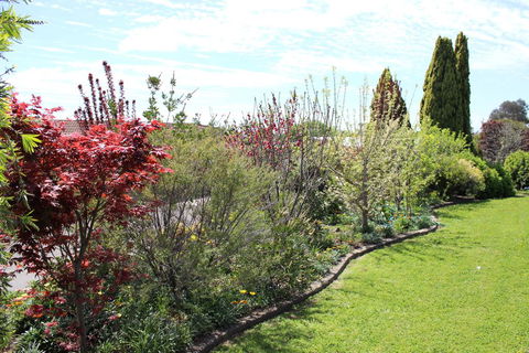 Top Of The Town Motel - Accommodation Noosa 2