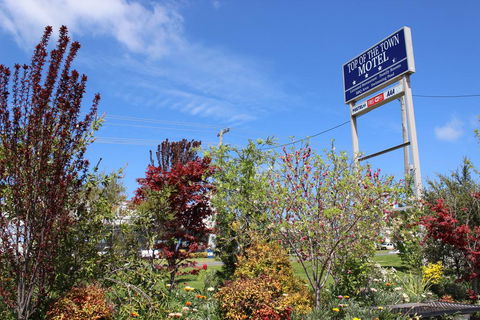 Top Of The Town Motel - Accommodation Noosa 1