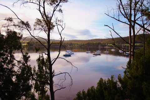 Tranquil Point - Accommodation Noosa 0
