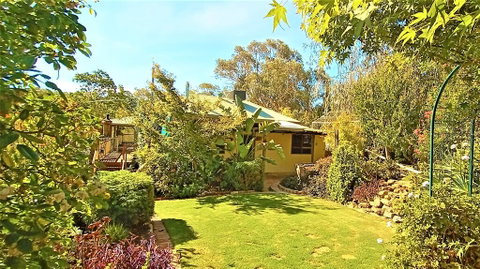 Treetops Escape - Accommodation Noosa 2